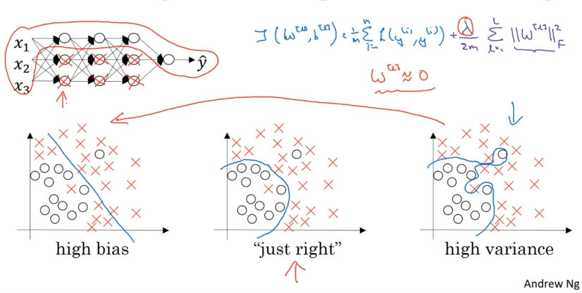 Three scatter plots showing bias-variance tradeoff with circles representing class 0 and X marks representing class 1. Left plot labeled high bias shows underfitting with a linear decision boundary missing most X marks in upper right. Center plot labeled just right shows optimal fit with curved boundary separating classes well. Right plot labeled high variance shows overfitting with irregular boundary wrapping tightly around training points. Above the plots is a neural network diagram with input nodes x1 x2 x3, two hidden layers with interconnected neurons marked with X symbols indicating dropout, and output node y. Arrow points from network to plots. Mathematical notation in corner shows cost function J with weights W and bias b terms plus L2 regularization term with lambda and Frobenius norm, and notation W approximately equals 0. Caption reads Andrew Ng.