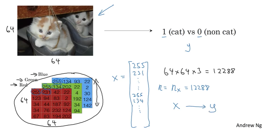 Binary classification example showing two cats in a basket (64x64 pixels) labeled as y=1 for cat versus 0 for non-cat. Below, a diagram illustrates how the 64x64x3 RGB image is unrolled into a feature vector X containing pixel values from red, green, and blue channels (255, 134, 93, 22 for blue; 255, 134, 202, 22 for green; 250, 231, 42, 22 for red), resulting in nx = 64×64×3 = 12288 total features that form the input vector for classification. Created by Andrew Ng