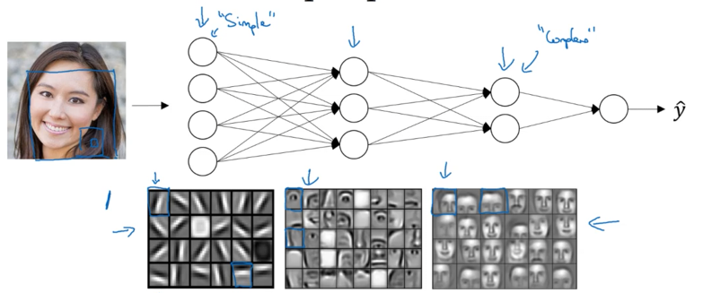 Deep neural network architecture diagram showing hierarchical feature learning for face recognition on the left side, with layers progressing from raw input image through simple features (edges), parts of objects (eyes, nose, mouth), to complex objects (face recognition). The right side illustrates computational efficiency comparing deep networks (O(log N) depth, efficient XOR computation with checkmark) versus shallow networks (O(2^N) width, exponentially larger for XOR with X mark). A brain icon in the center represents biological inspiration with arrows indicating the flow from compositional representation (simple to complex) and biological inspiration (loose). The diagram uses blue and purple gradient backgrounds with network nodes and connections visualized.